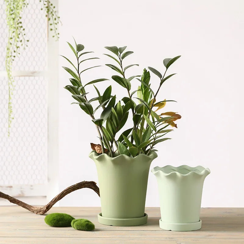 A ceramic planter with a wavy edge design, shown in a soft neutral color. The planter is available with or without a matching tray and comes in both small and large sizes, making it perfect for showcasing indoor greenery like succulents or ferns.